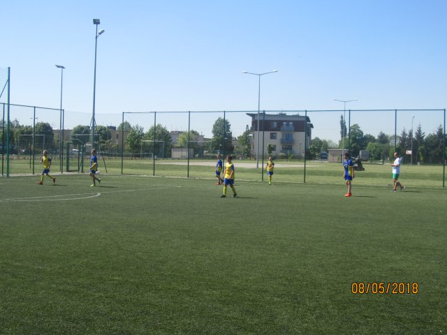 pino 28